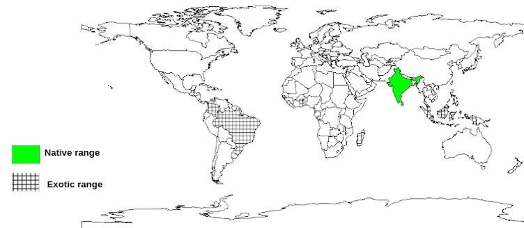 DOCUMENTED SPECIES DISTRIBUTION