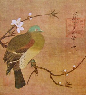 Pigeon on a peach branch