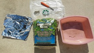 Credit: John Dawson Master Gardener Manatee County Extension Step 1