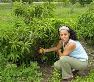 Credit: Fairchild Tropical Botanic Garden Noris Ledesma, Curator of tropical fruit at Fairchild Tropical Botanic Garden