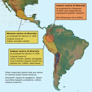 E.E. Cheesman, 1944 Cacao's center of diversity