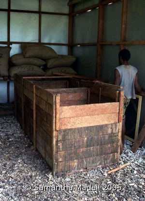 Credit: © Samantha Madell, tava.com.au.blog An alternative method of fermenting cocoa beans: a three-bay cacao fermentation box on Malo island, Vanuatu.