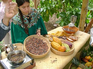 Credit: N. Ledesma, curator of Tropical Fruit at Fairchild Tropical Botanic Garden How to Make Chocolate from Scratch