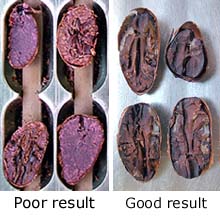 Credit: copyright © 2005 Tava Correct fermentation
