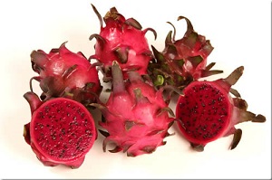 Credit: © Ian Maguire UF/IFAS/TREC Red Dragon fruit