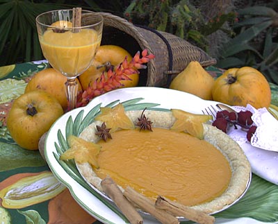 Credit: © Lynda LaRocca, Fairchild Tropical Botanic Garden Virtual Herbarium Cream of Canistel Soup