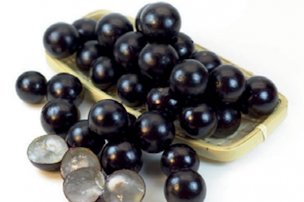 Credit: Alfredo Añez, and Richard Campbell, Edible South Florida Jaboticaba