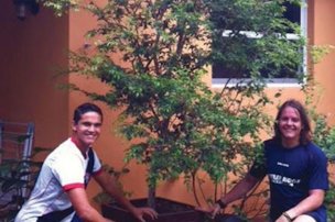 Credit: Alfredo Añez, and Richard Campbell, Edible South Florida Jaboticaba tree in a pot