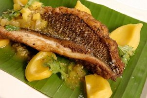 Credit: © Ian Maguire UF/IFAS/TREC Red Snapper and Jackfruit with Orange, Thyme and Rum Mojo