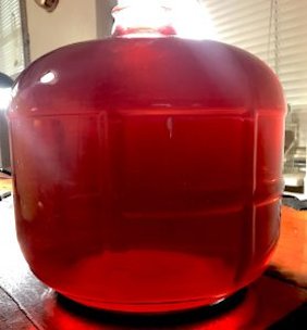 Credit: Green Deane Two and a half gallons of Jambul Wine before racking.