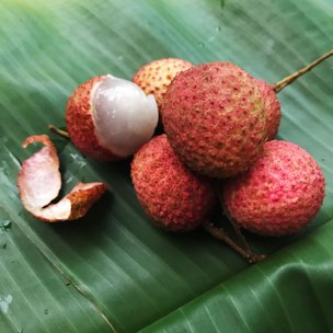 Credit: Edible South Florida Lychees