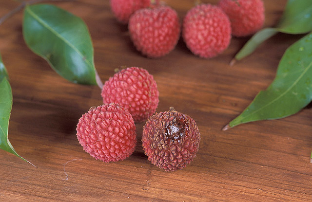 Credit: Peggy Greb, USDA Agricultural Research Service Fruit flies deposit their eggs through the thin skin of a lychee, causing juice to ooze out and stain the surface. But lychee is a poor host, and fruit fly larvae rarely develop in the fruit.
