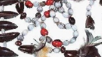 Credit: W. P. Amstrong A seed necklace from the Rio Napo, a tributary of the Amazon River in Ecuador. The large, dark brown seeds are from the sapote.