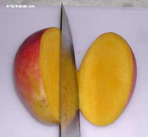 Credit: © Top Tropicals cutting with a sharp knife, top to bottom