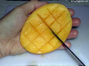 Credit: © Top Tropicals cut in a criss cross fashion