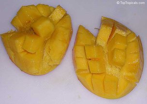 Credit: © Top Tropicals push in from the skin side and the flesh inverts making the cubes resemble a hedgehog, standing proud