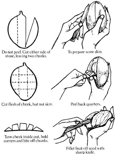 Credit : Archives of the Rare Fruit Council of Australia How to peel and eat mangos