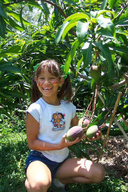 Credit: N. Ledesma, Fairchild Tropical Botanical Garden No matter what your age, the mango has the power to put a smile on your face.