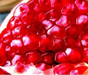 Credit: © Ken Love, University of Hawai‘i The red flesh covering the seeds is the edible portion.
