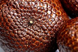 Salak (Salacca zalacca)