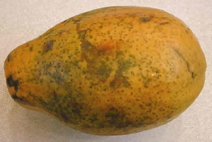 Credit: The Mary T. and Frank L. Hoffman Family Foundation Papaya fruit