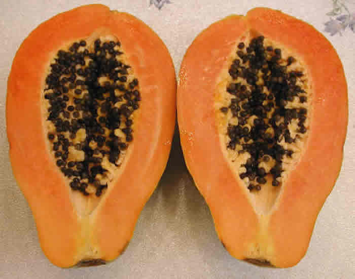 Credit: The Mary T. and Frank L. Hoffman Family Foundation Papaya halves