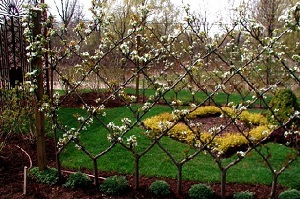 Credit: Peter A Thevenot, River Road Farms Belgian Fence Spring