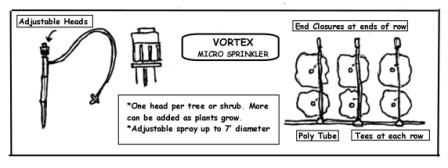 Credit: © Just Fruits and Exotics Vortex Micro sprinkler