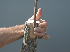 Credit: Julian W. Sauls, Aggie Horticulture®, Texas A&M AgriLife Extension Crossing over to make the left inlay cut