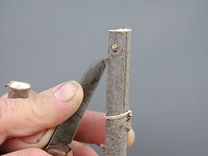 Credit: Julian W. Sauls, Aggie Horticulture®, Texas A&M AgriLife Extension Side view of vertical incisions