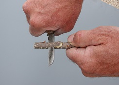 Credit: Julian W. Sauls, Aggie Horticulture®, Texas A&M AgriLife Extension Halfway through the long cut