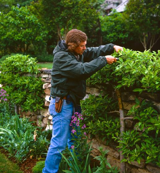 Credit: Peter A Thevenot, River Road Farms Peter Thevenot, Espalier Master