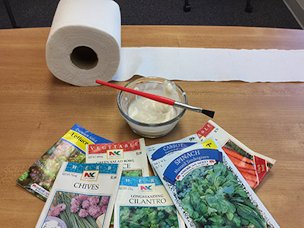 Credit: Gardening Solutions, UF/iFAS Seed tape supplies: seeds, toilet paper, flour "glue," and a paint brush.