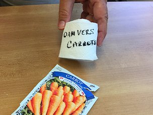Credit: Gardening Solutions, UF/iFAS Roll up and label your seed tape for storage.