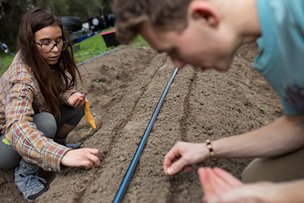 Credit: Tyler Jones, UF/IFAS Students plant seeds in rows at the UF Community Garden.