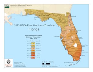 Credit: Florida-Friendly Landscaping™ Program Florida Plant Hardiness Zone Map