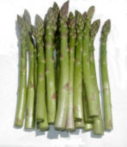 A. officinalis 'Ida Lea' F1