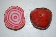 Chioggia beetroot, showing alternate tissue layers in white and pink.