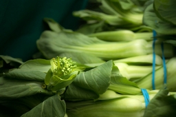Credit: Lance Cheung, USDA Shanghai bok choy in a California farmers' market