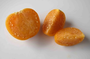 Credit: Sybaritica, Foodstuff Don’t eat them if they are really bitter
