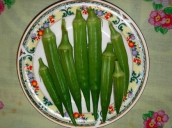 Okra