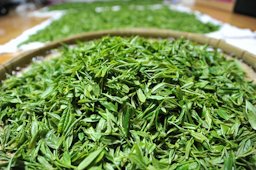 Jakseol green tea leaves, 녹찻잎(작설차)