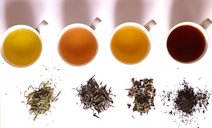 Tea of different fermentation